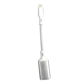 其它 OTG USB转Lightning 连接头 加长版（用于USB麦克风转手机）【银色】