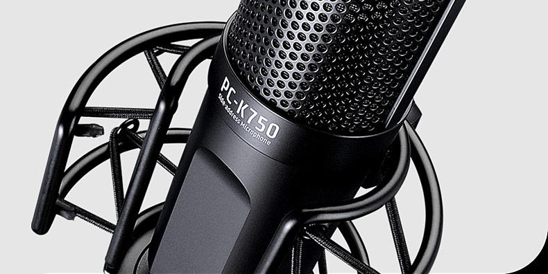 得胜(TAKSTAR) PC-K750 电容式录音麦克风 直播K歌录音麦克风